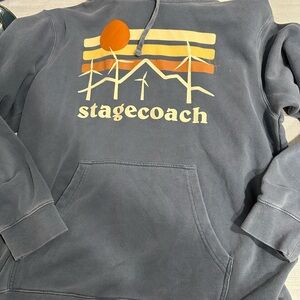 Gray Graphic Hoodie stagecoach 2024